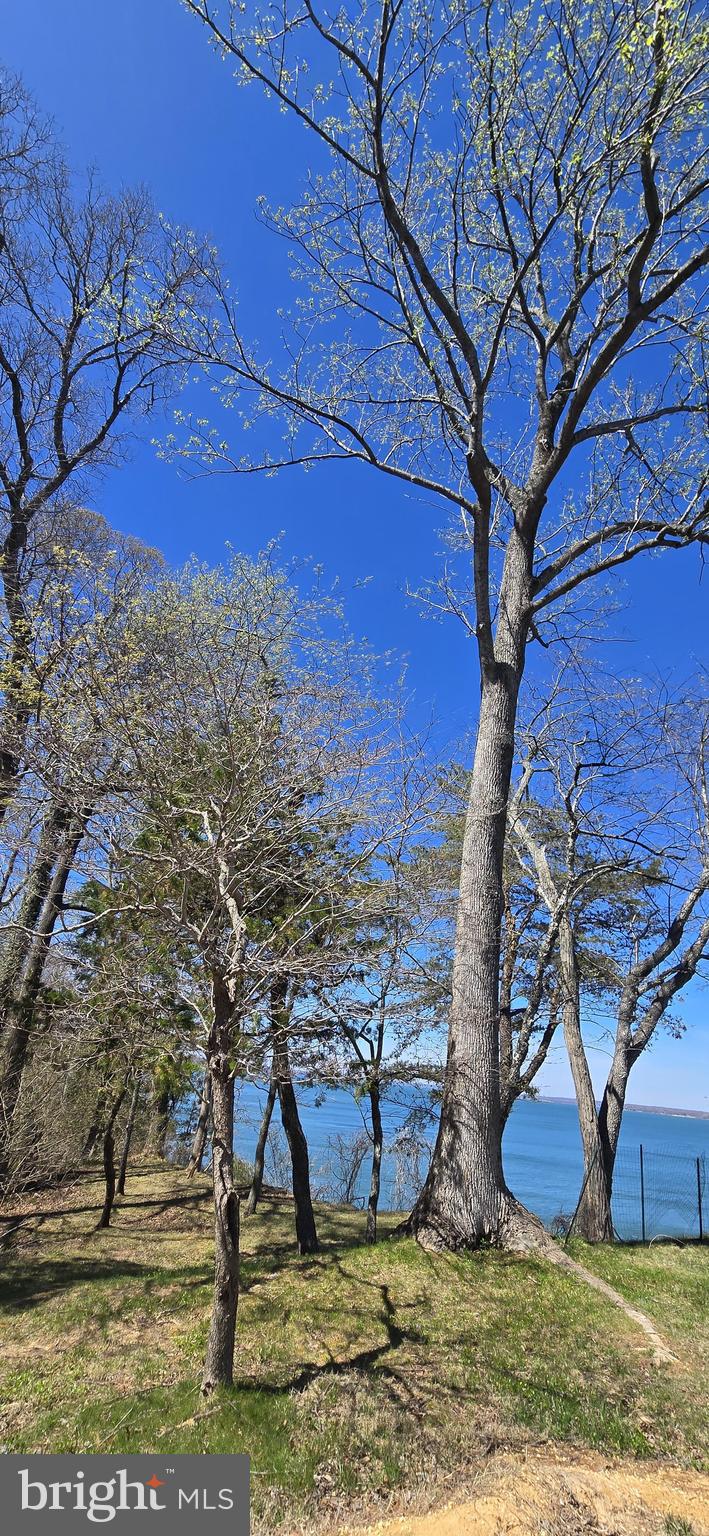 43732 RASPBERRY LANE