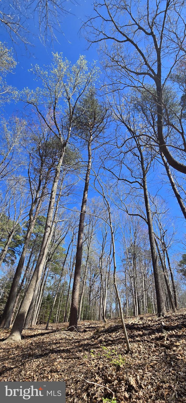 43732 RASPBERRY LANE