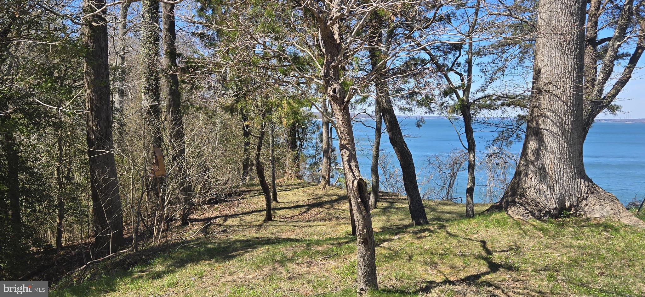 43732 RASPBERRY LANE