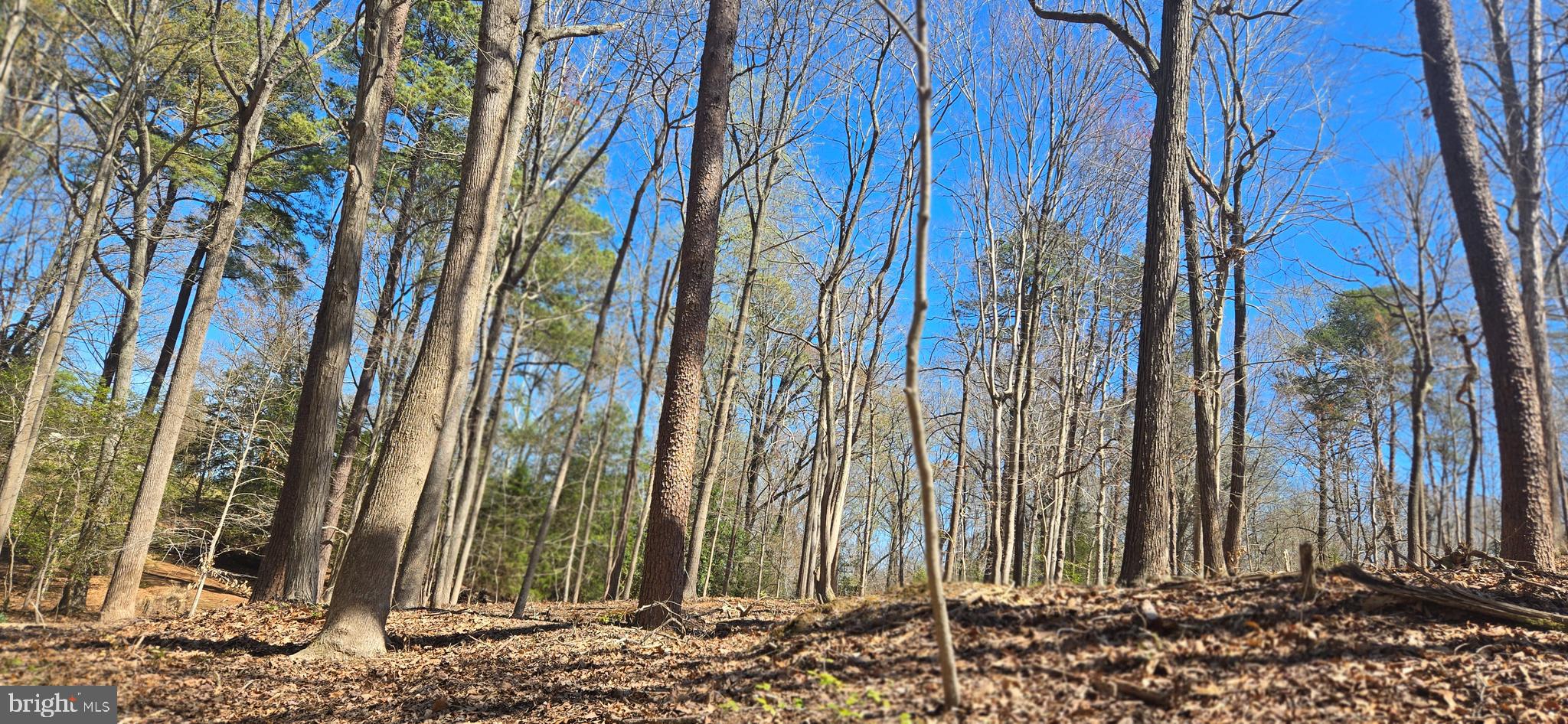 43732 RASPBERRY LANE