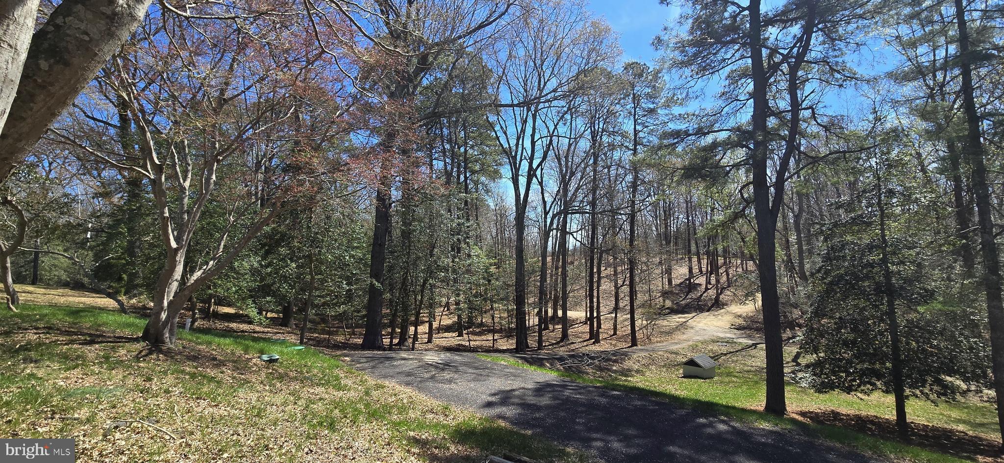 43732 RASPBERRY LANE