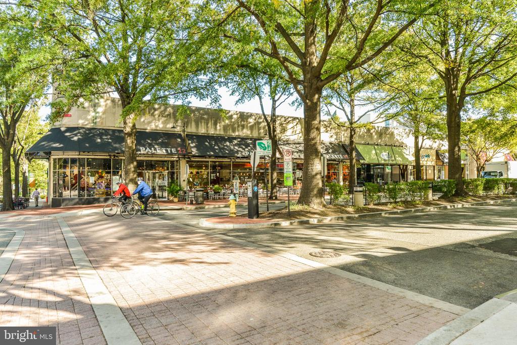 2720 S Arlington Mill Dr #309