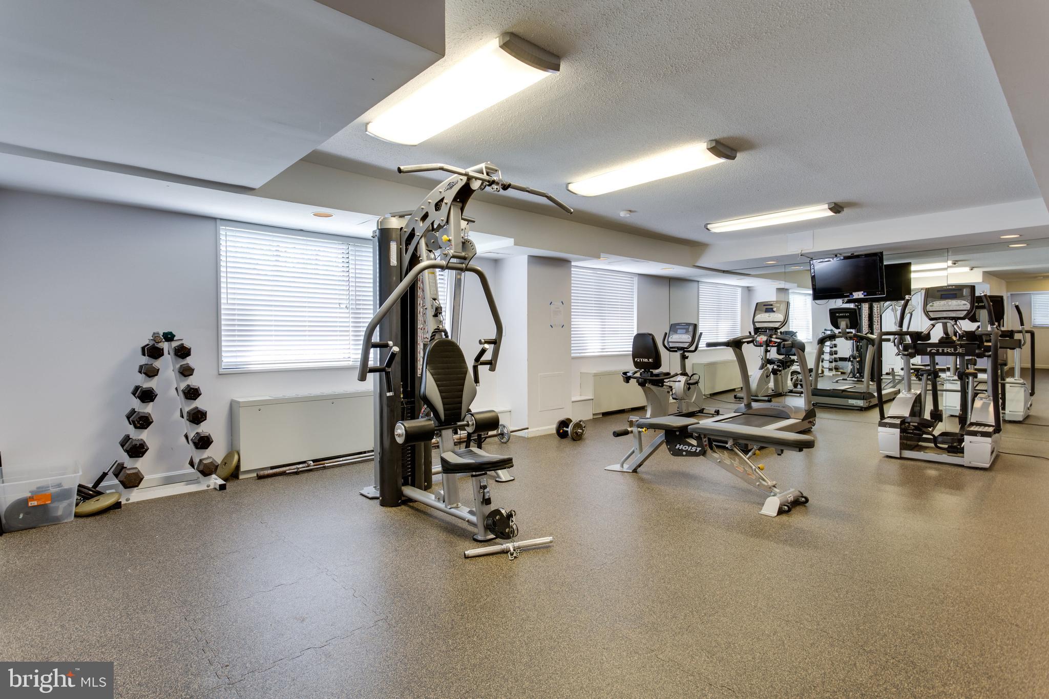 3515 Washington Blvd #403