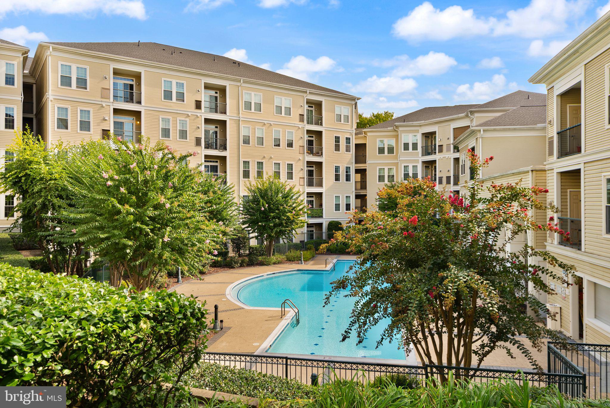 2465 ARMY NAVY DRIVE 204