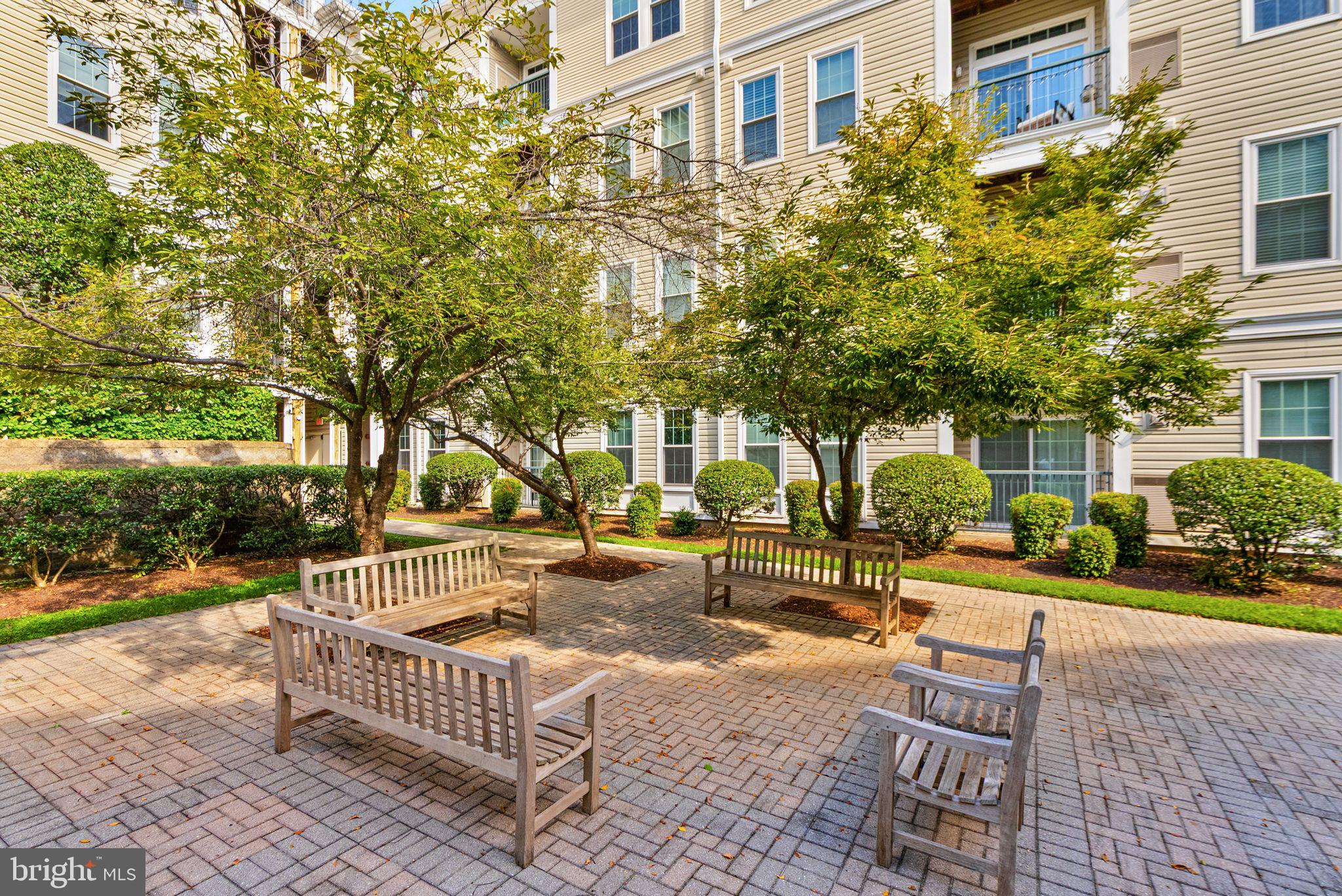 2465 ARMY NAVY DRIVE 204