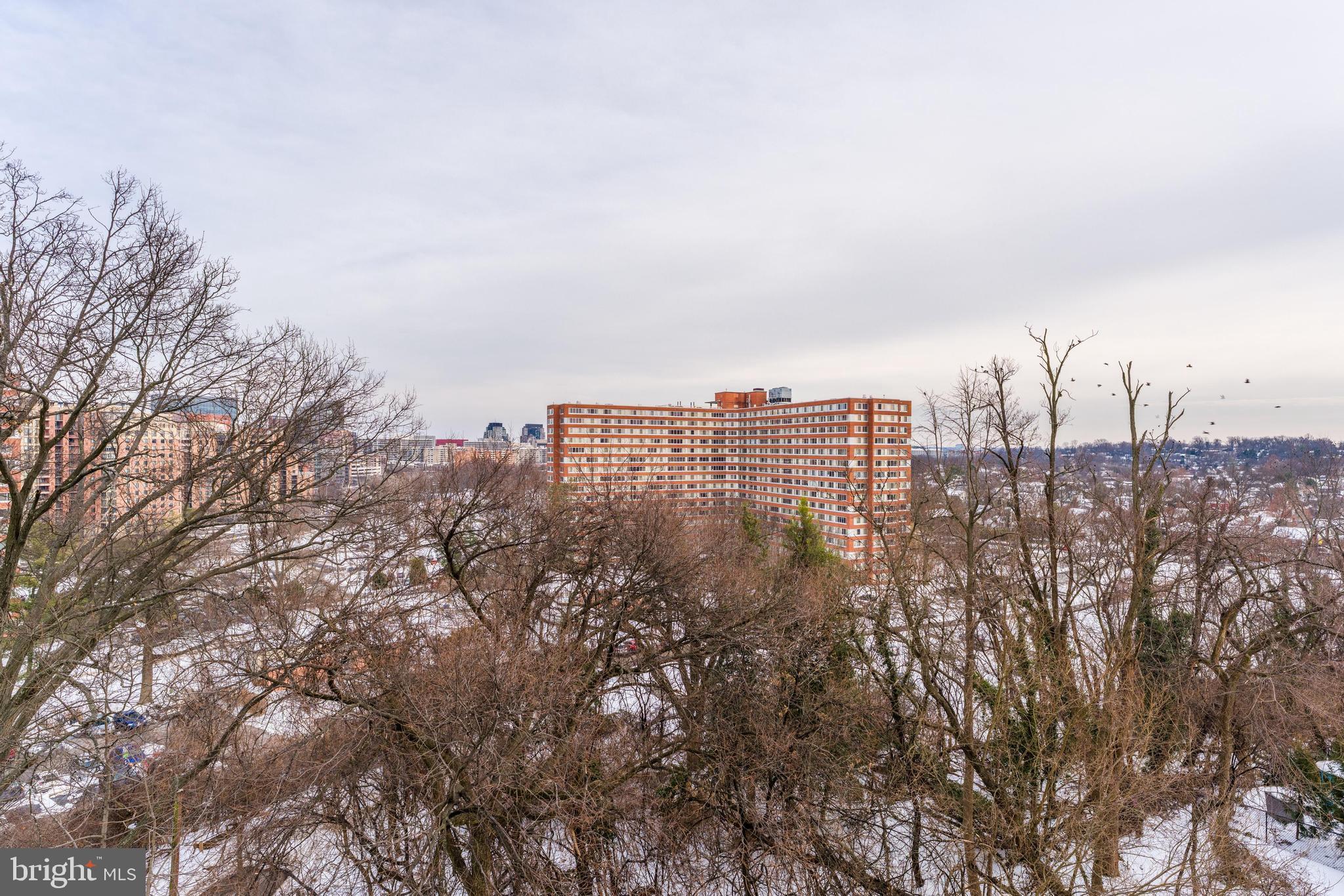 1515 S ARLINGTON RIDGE ROAD 504