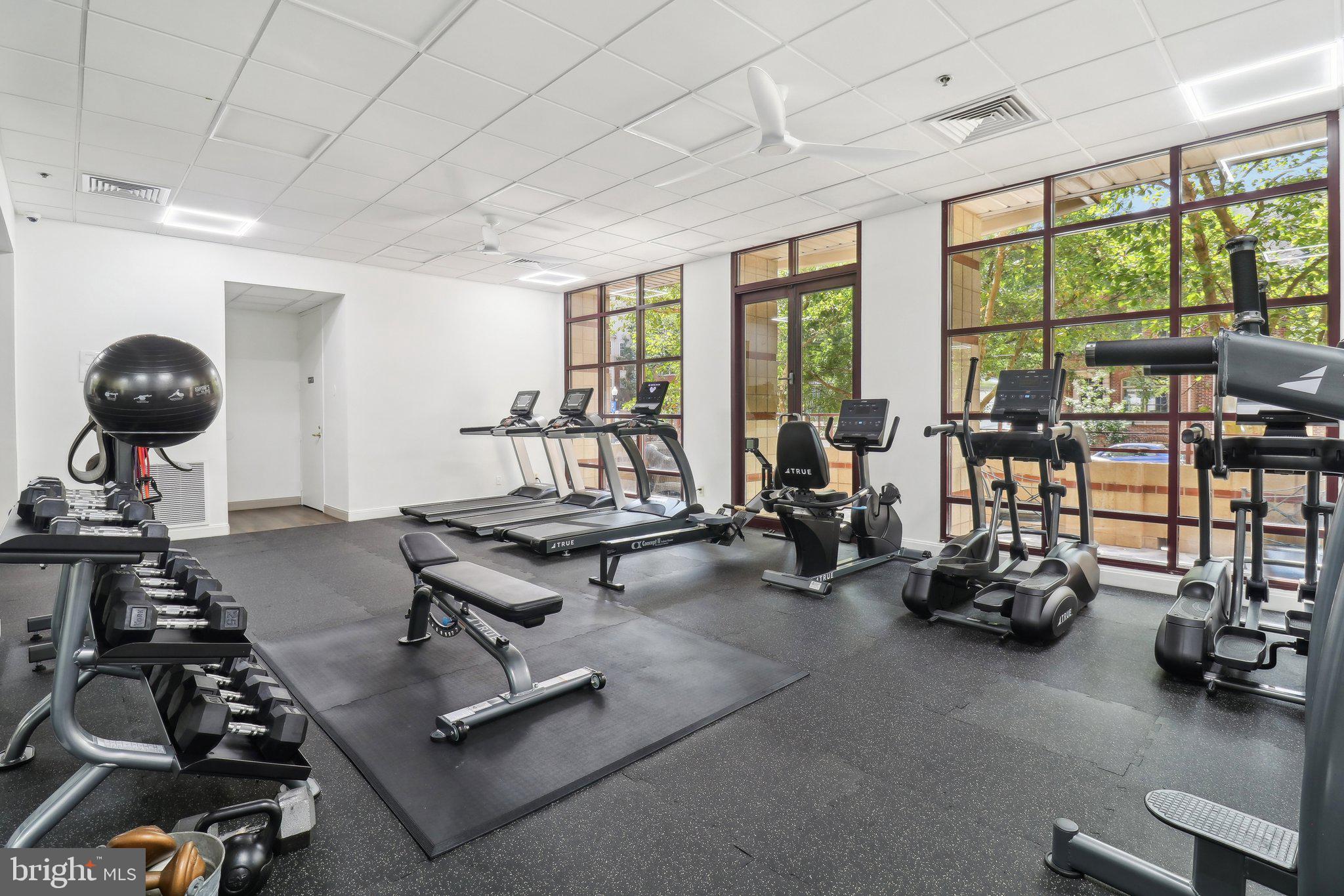 2400 CLARENDON BOULEVARD 113