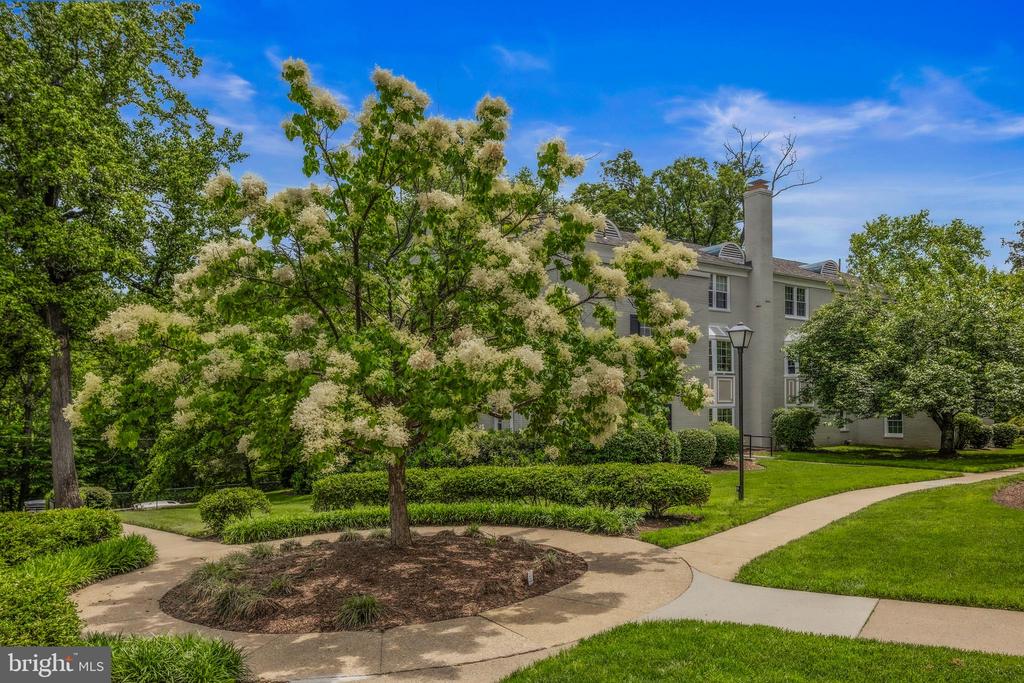 820 S ARLINGTON MILL DRIVE 3-201