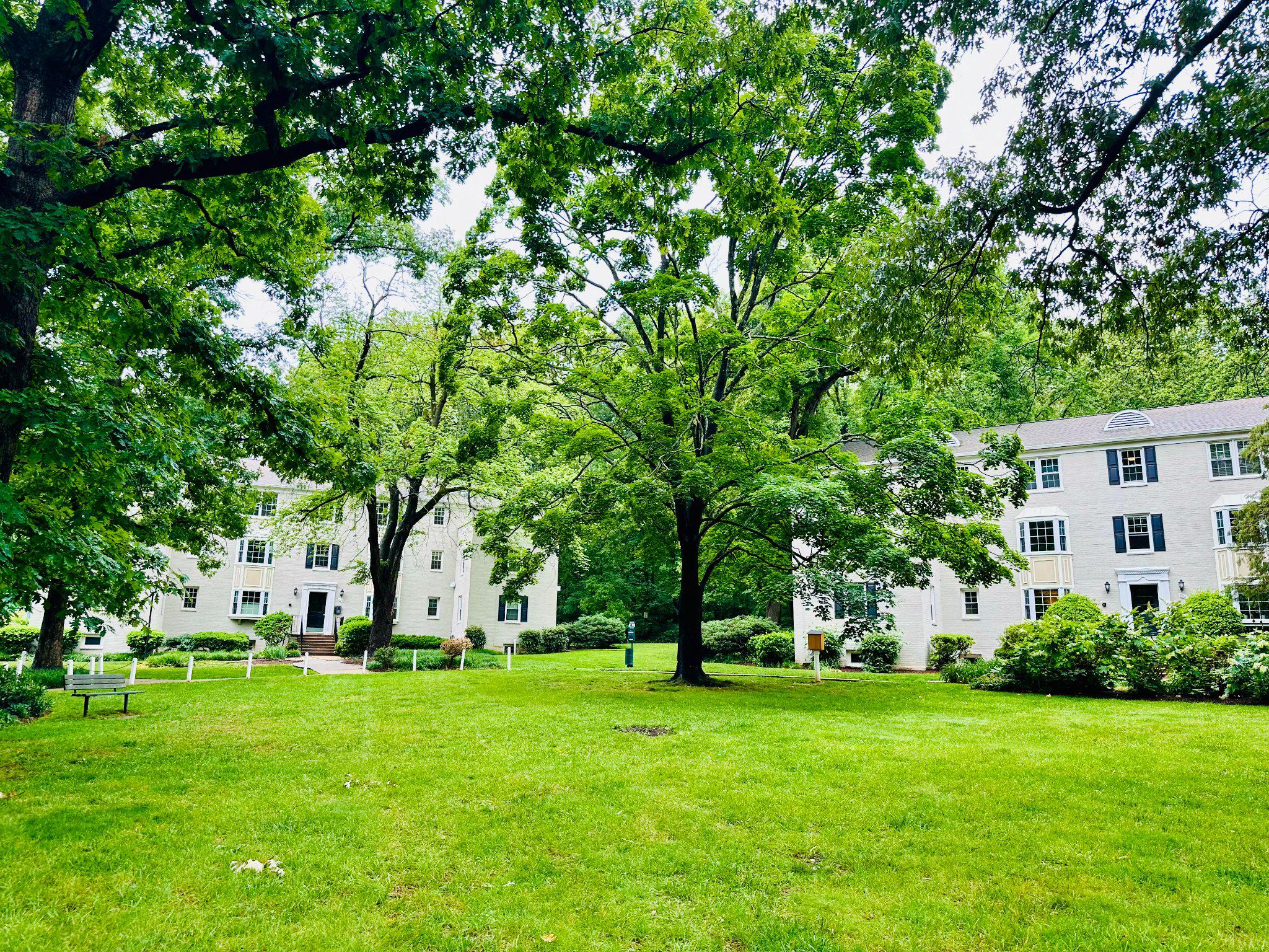 706 S ARLINGTON MILL DRIVE 18302
