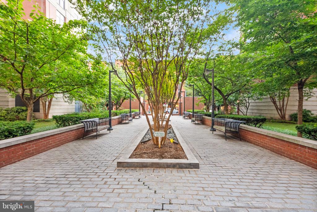 1021 N GARFIELD STREET Unit: 517
