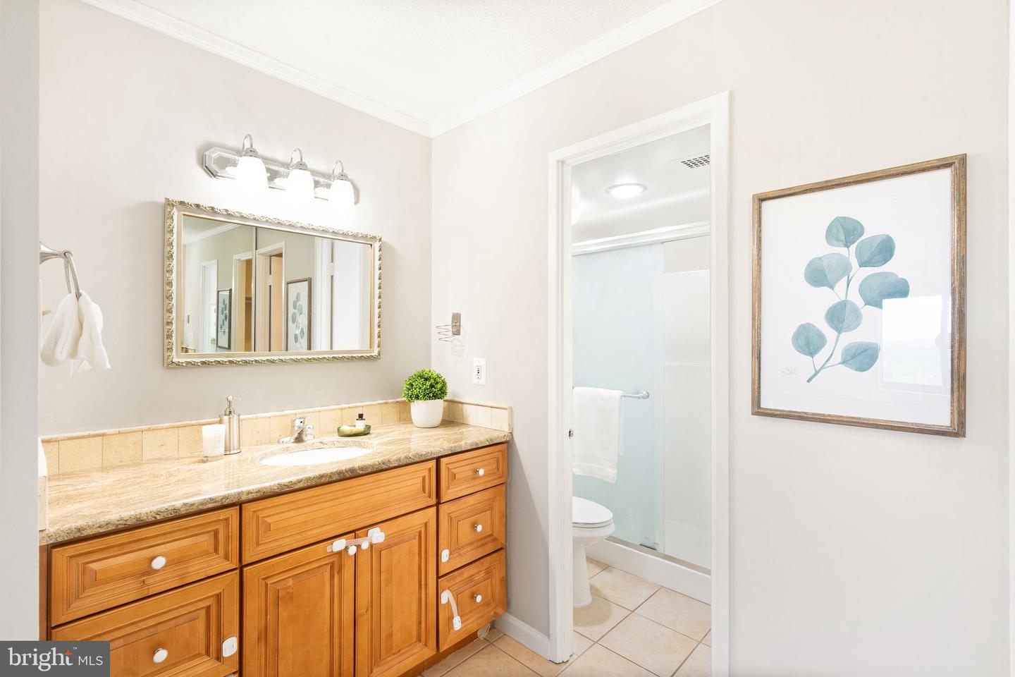 205 YOAKUM PARKWAY Unit: 1508