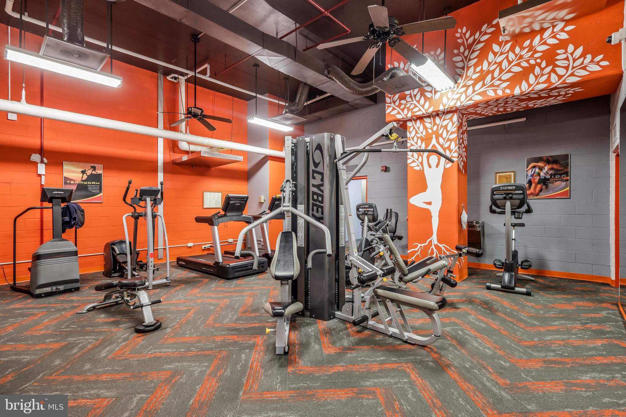 1225 Martha Custis DRIVE Unit: 1111