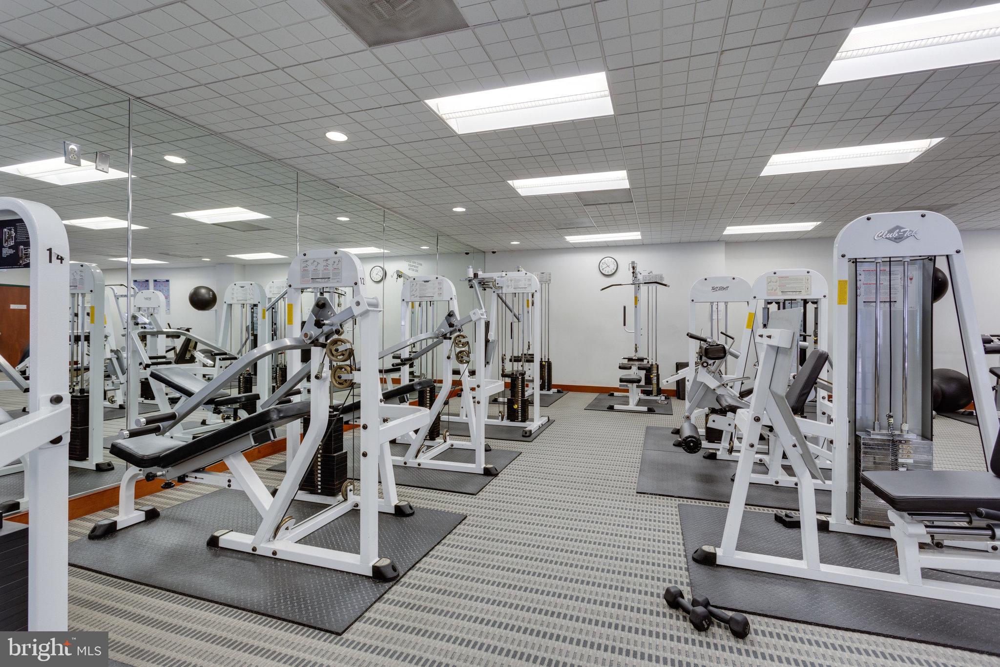 203 Yoakum Pkwy #209