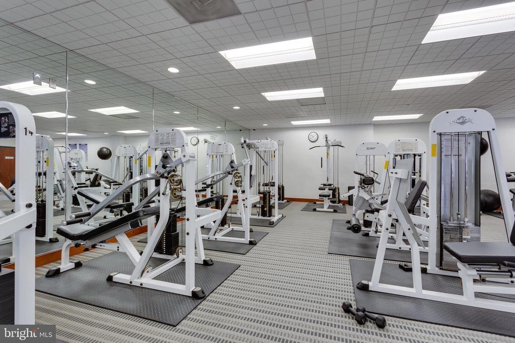 203 Yoakum Pkwy #209