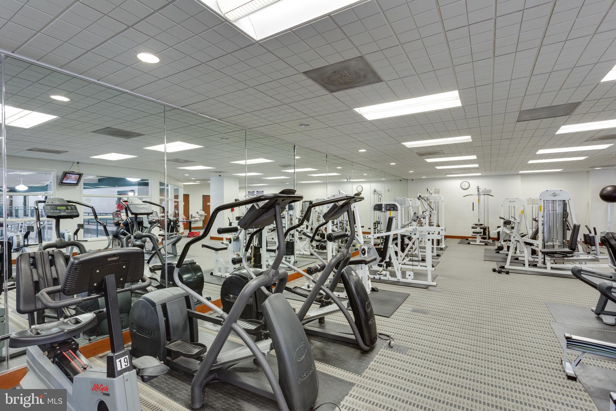 203 Yoakum Pkwy #209