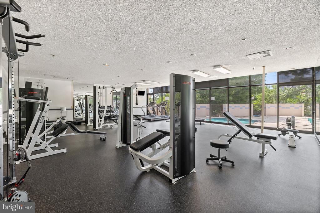 5911 Edsall Rd #310