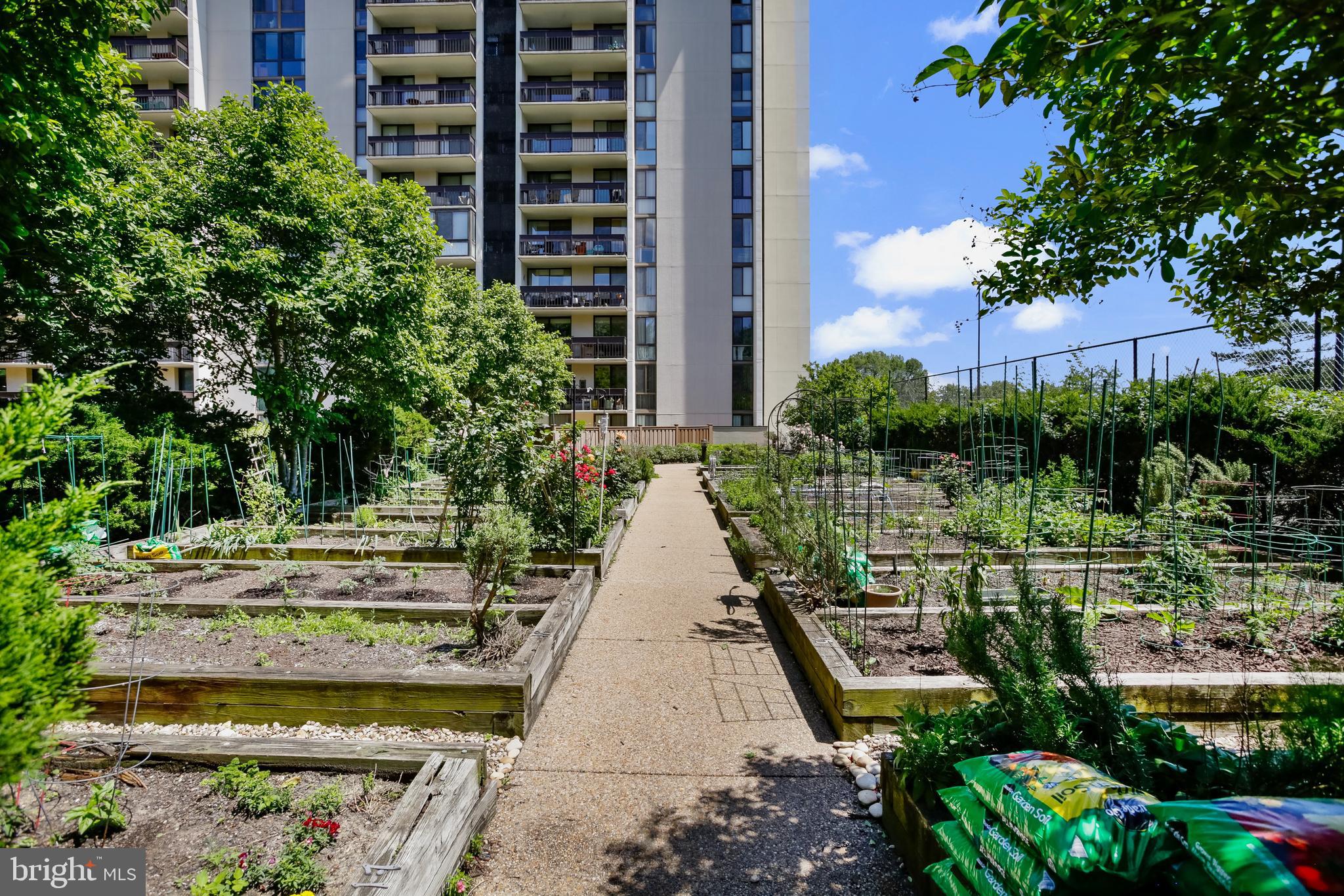 5300 Holmes Run Pkwy #407