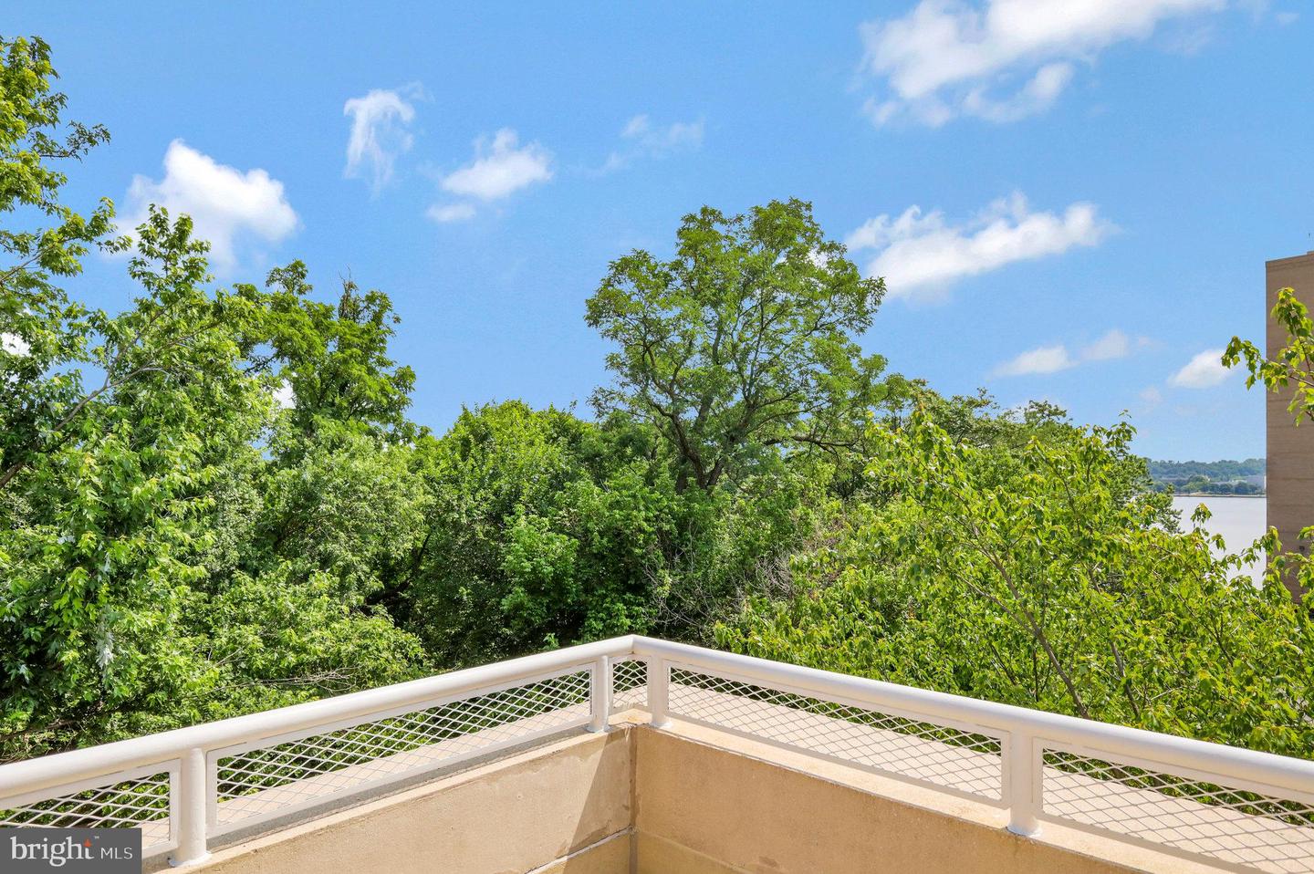 635 SLATERS LN #305