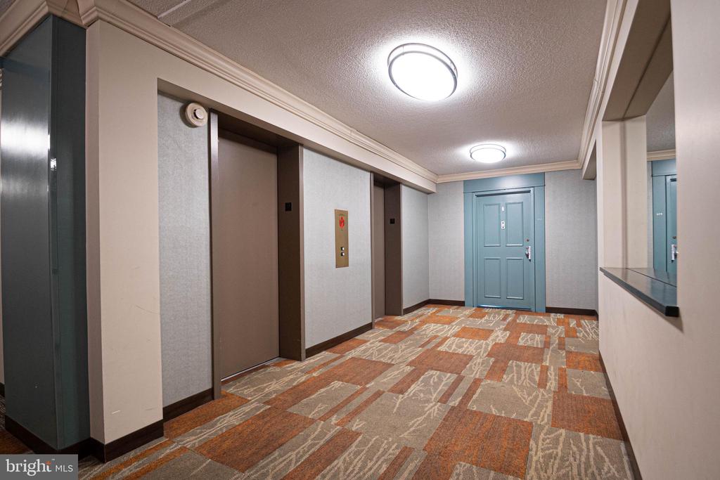 205 YOAKUM PARKWAY 919