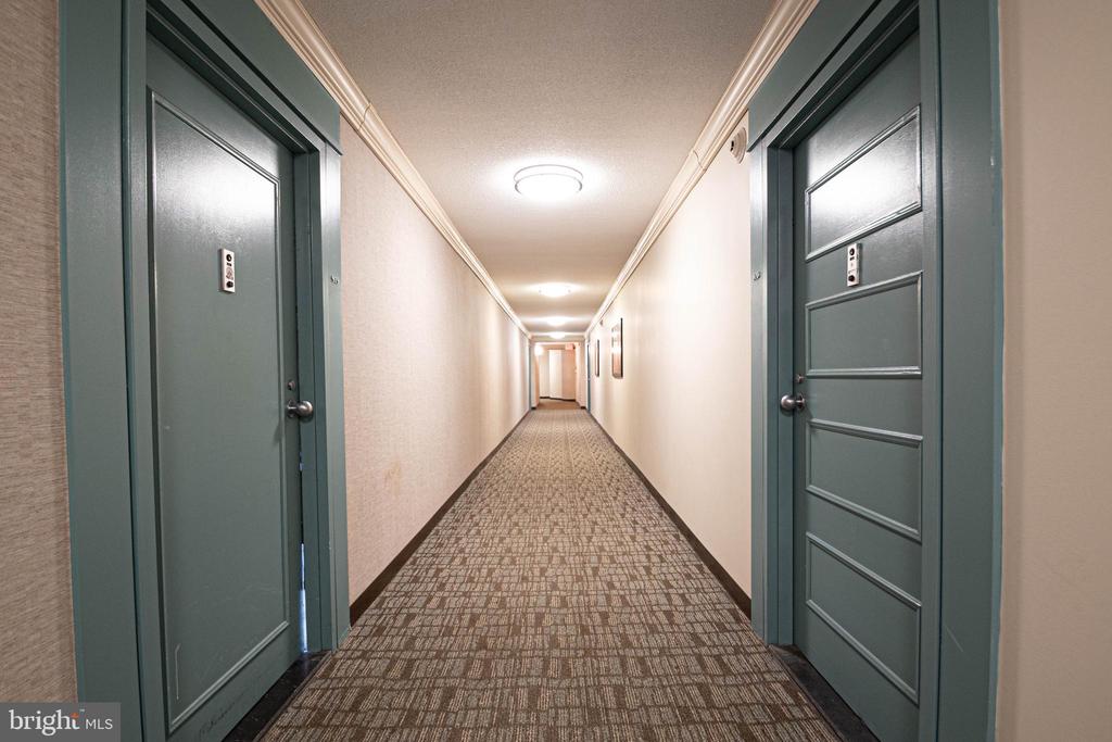 205 YOAKUM PARKWAY 919