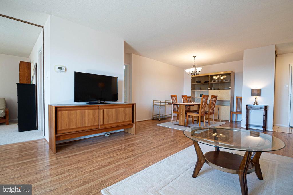 205 YOAKUM PARKWAY 919