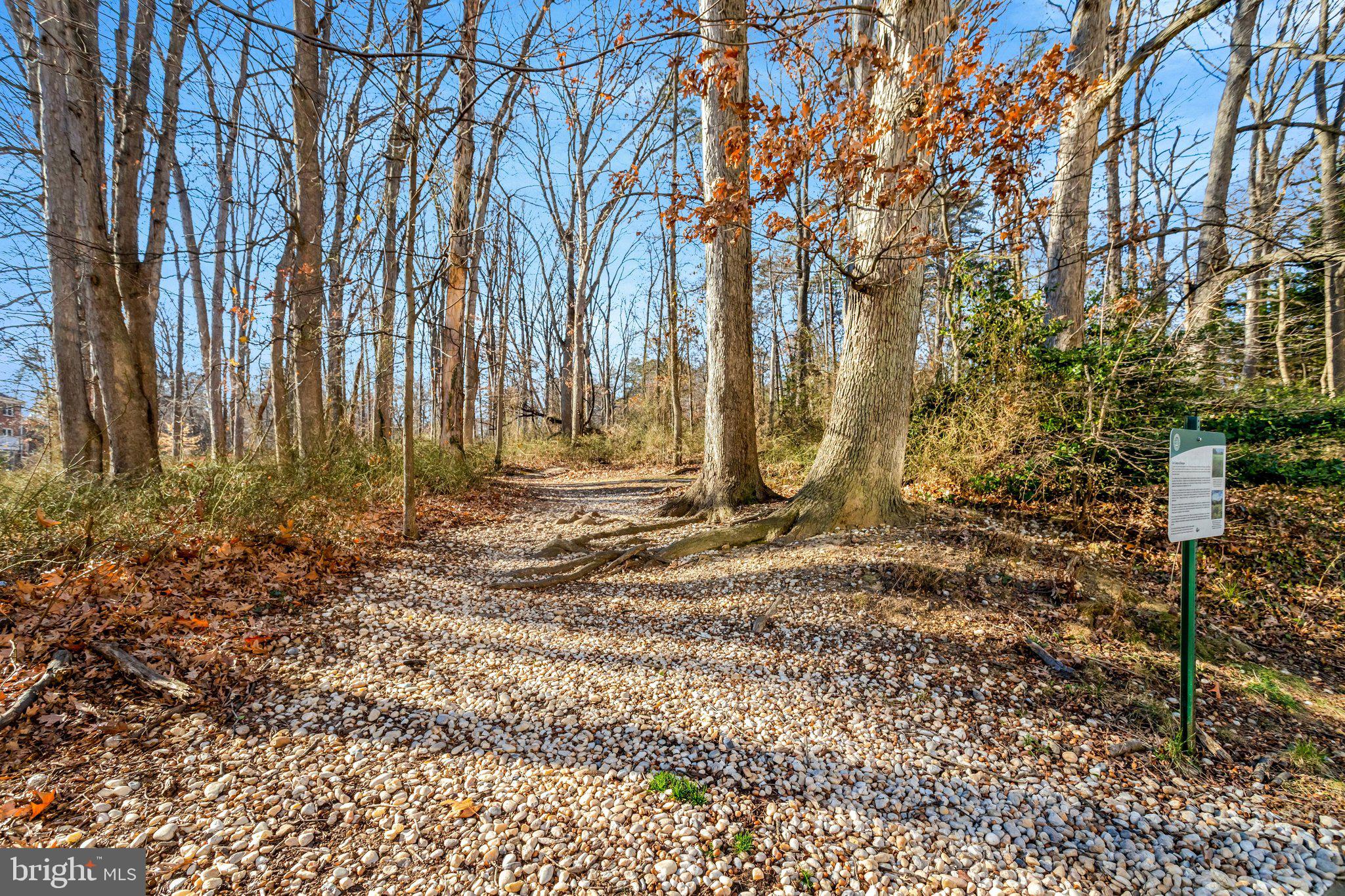 2500 N VAN DORN STREET 521