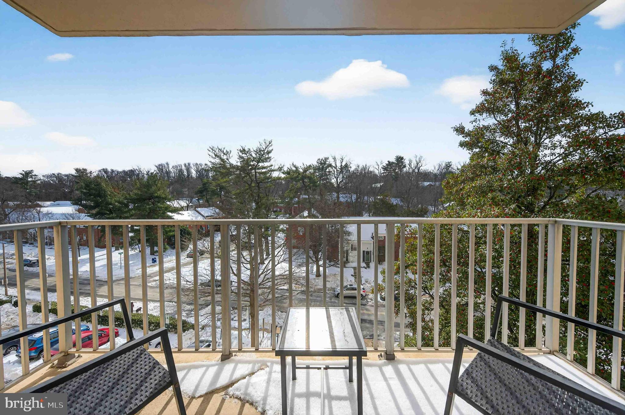 1225 MARTHA CUSTIS DRIVE 406