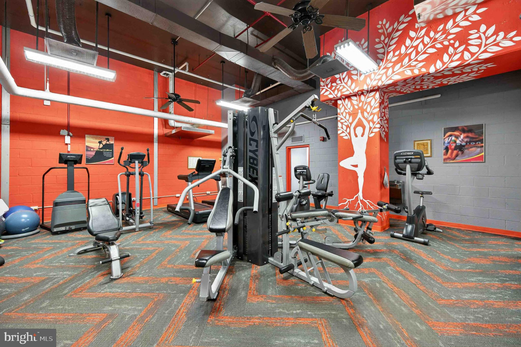 1225 MARTHA CUSTIS DRIVE 406