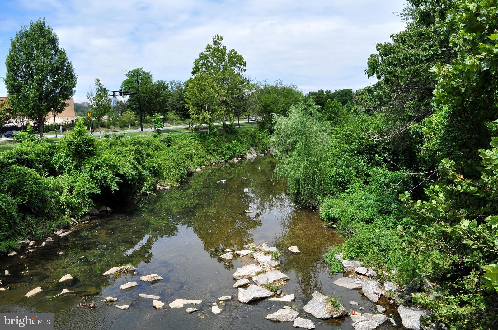 1225 MARTHA CUSTIS DRIVE 406