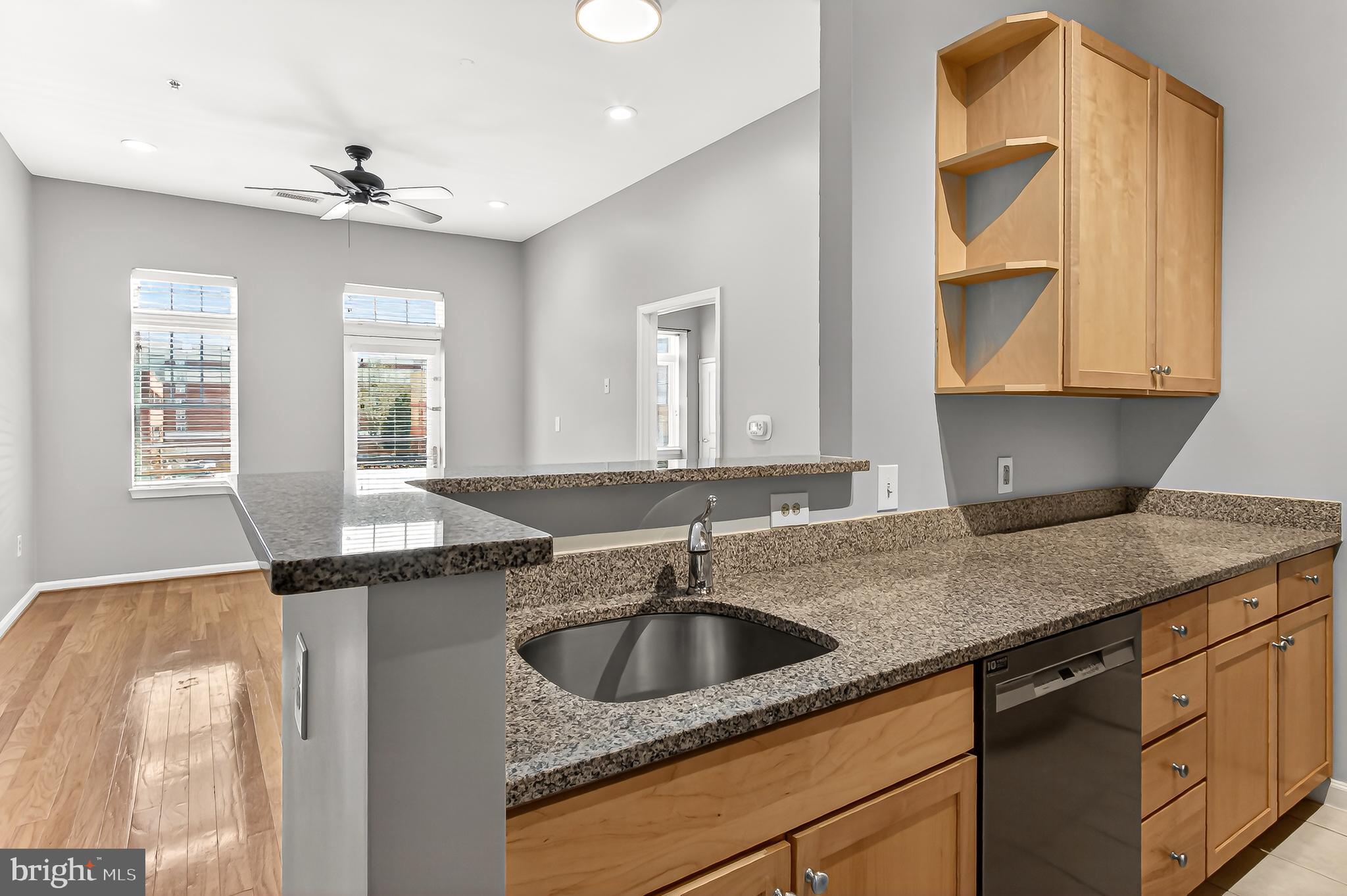 309 HOLLAND LANE 117