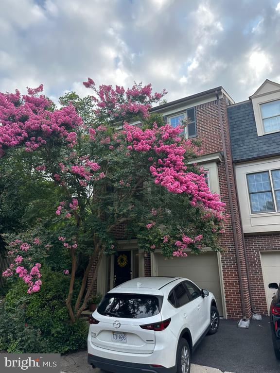 3802 VERMONT COURT