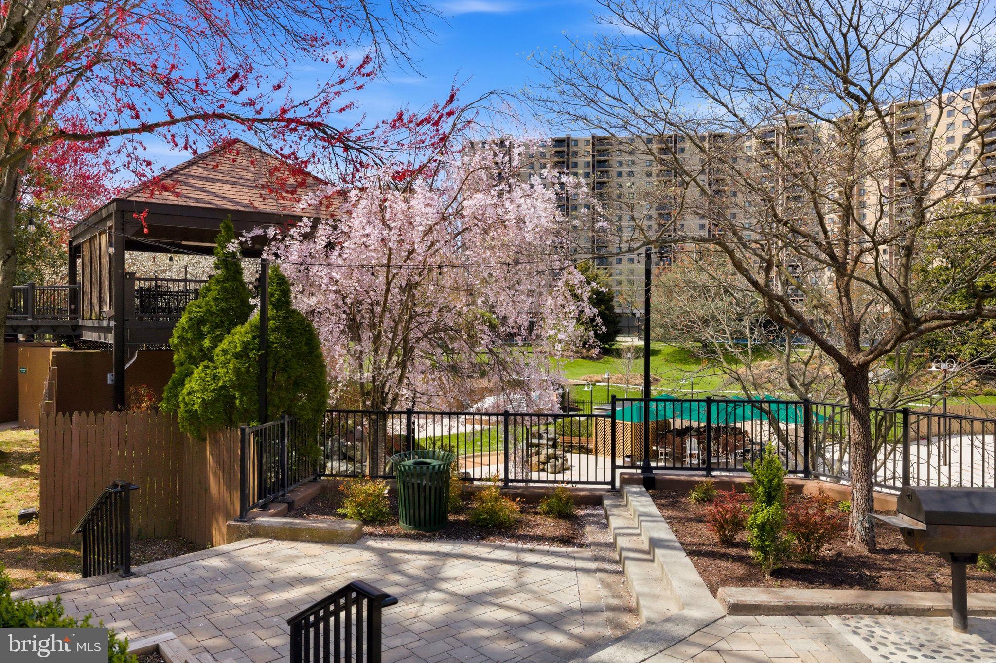 203 YOAKUM PARKWAY 906