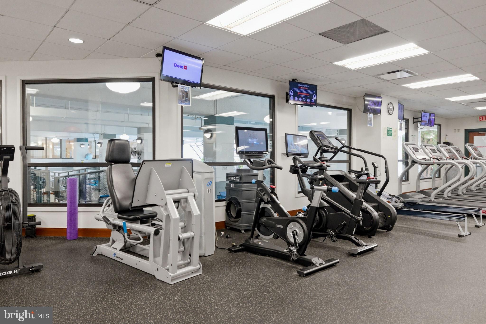 203 YOAKUM PARKWAY 906