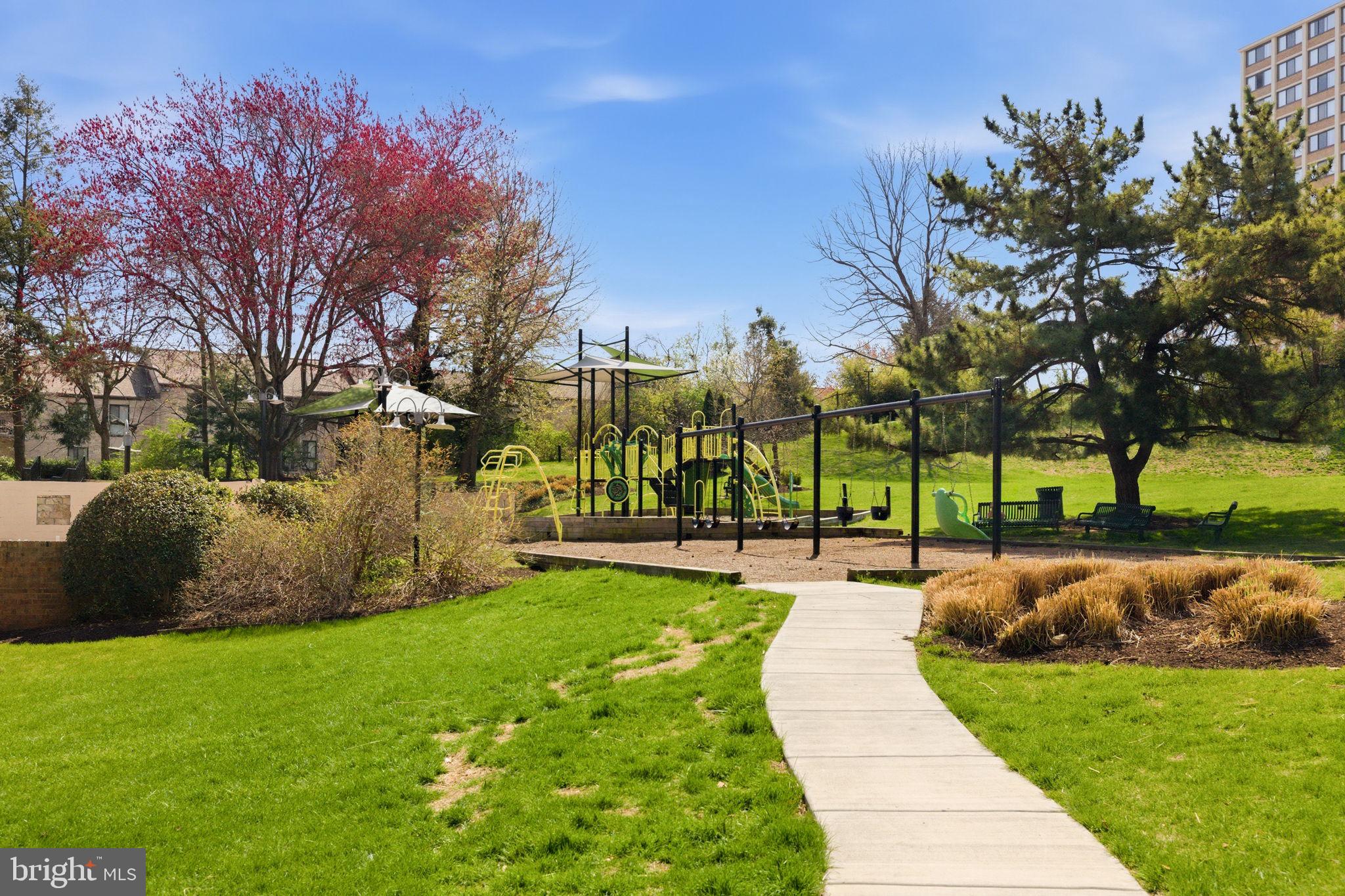 203 YOAKUM PARKWAY 906