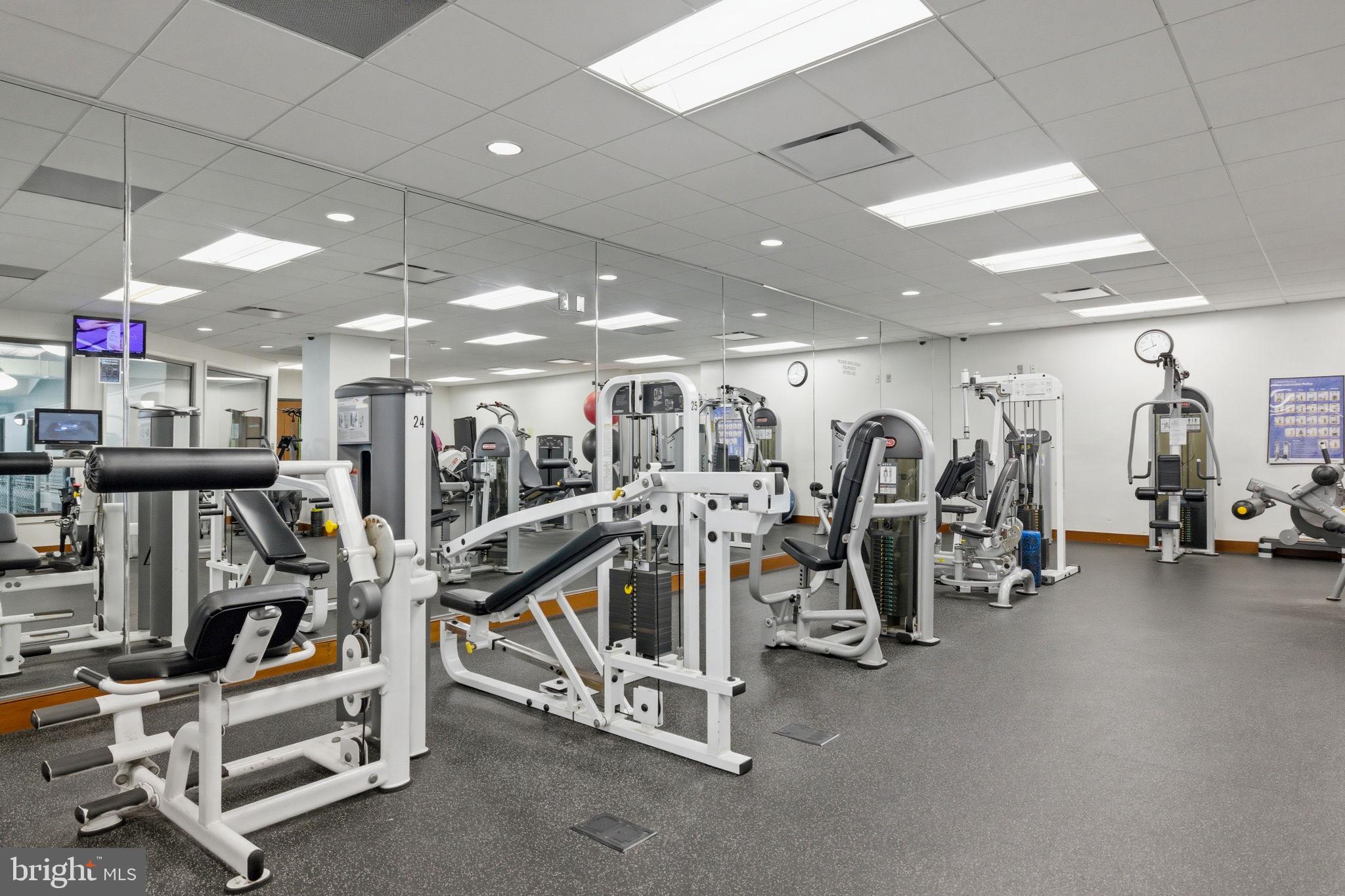 203 YOAKUM PARKWAY 906