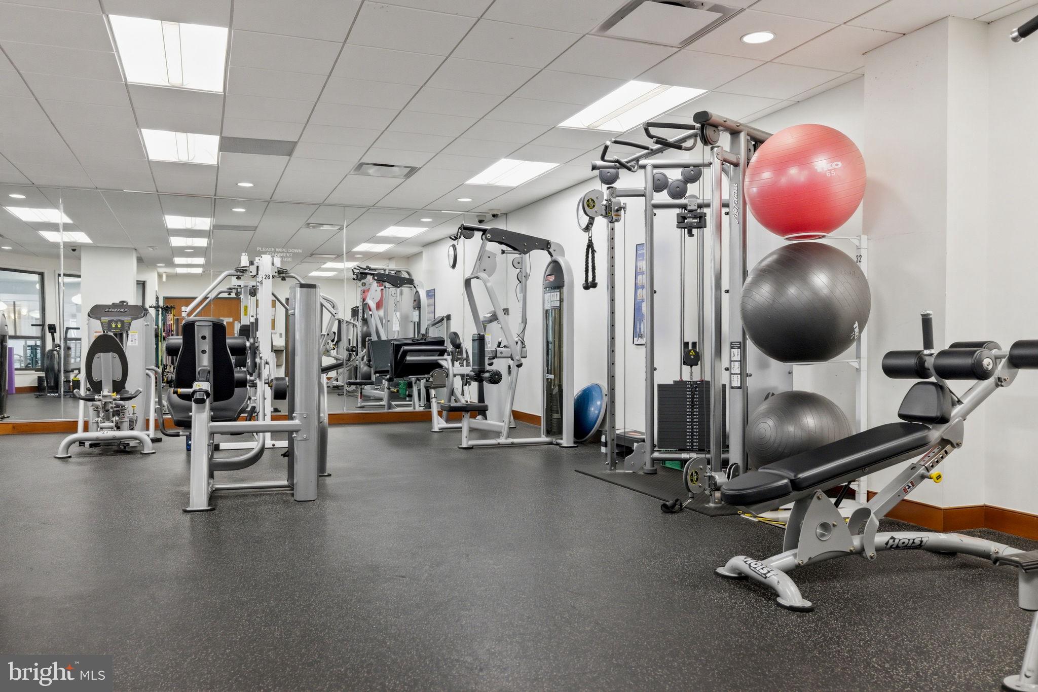 203 YOAKUM PARKWAY 906