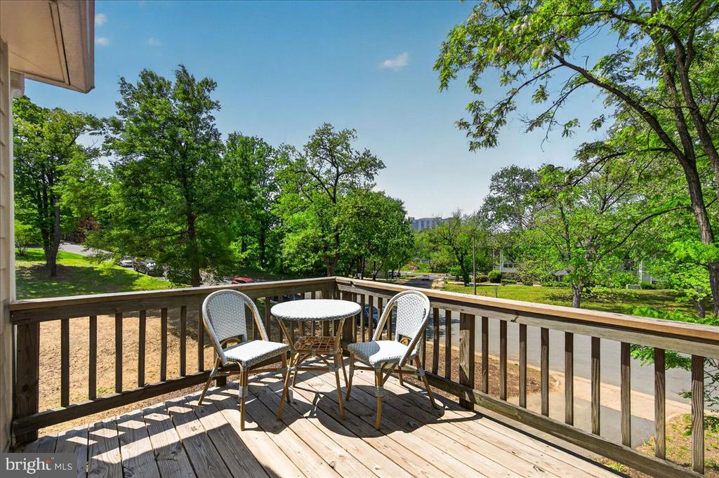 4448 W BRADDOCK ROAD