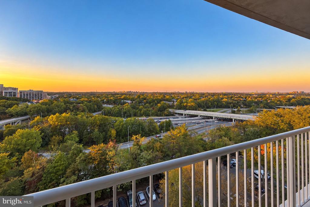 2500 N VAN DORN STREET Unit: 1101