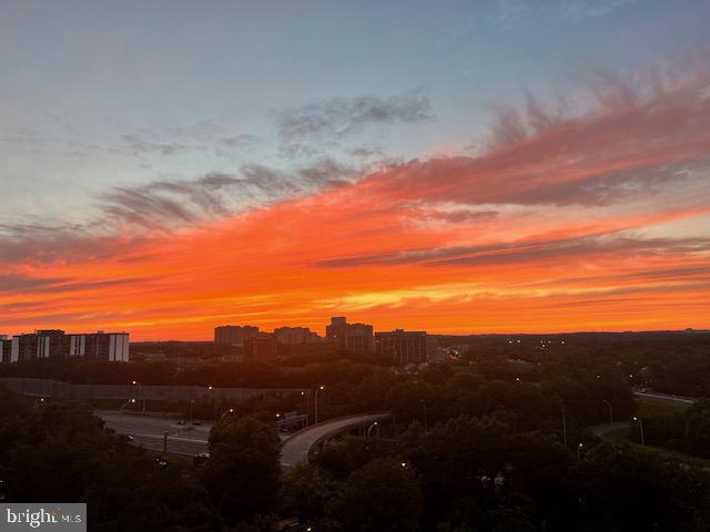 2500 N VAN DORN STREET Unit: 1101