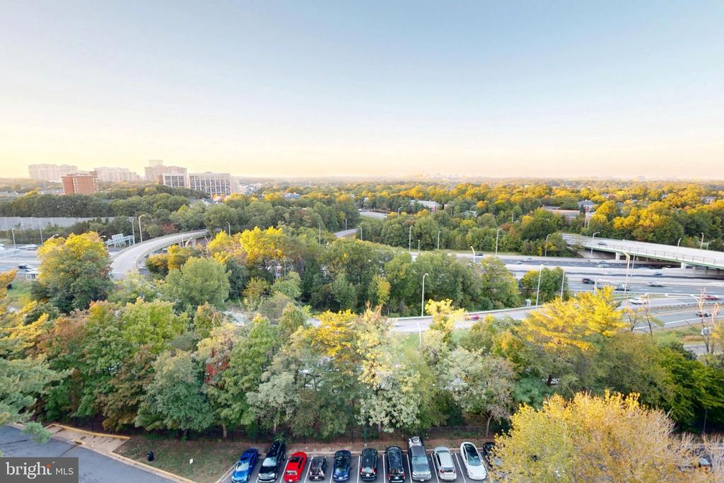 2500 N VAN DORN STREET Unit: 1101