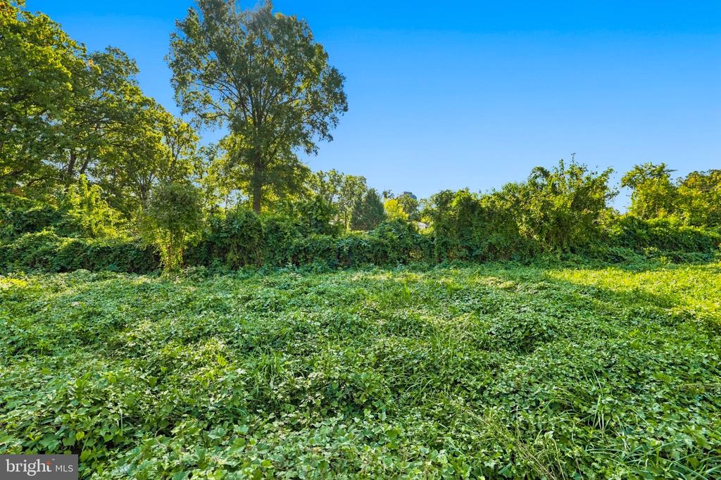 5241 SEMINARY ROAD