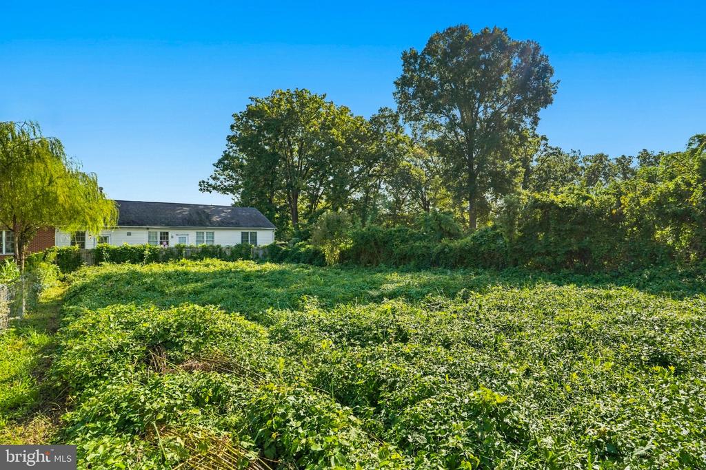 5241 SEMINARY ROAD
