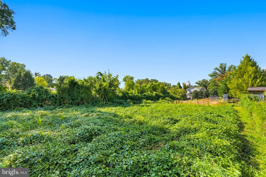 5241 SEMINARY ROAD