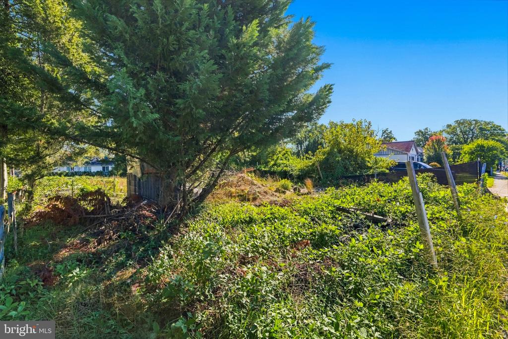 5241 SEMINARY ROAD