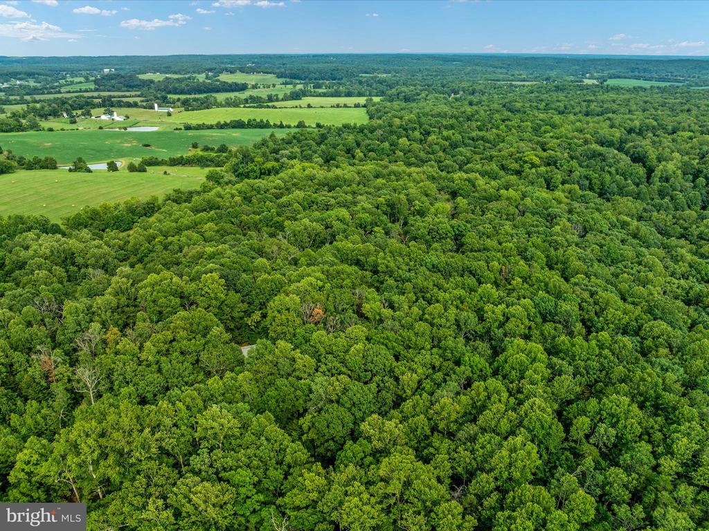 Beaver Dam Rd