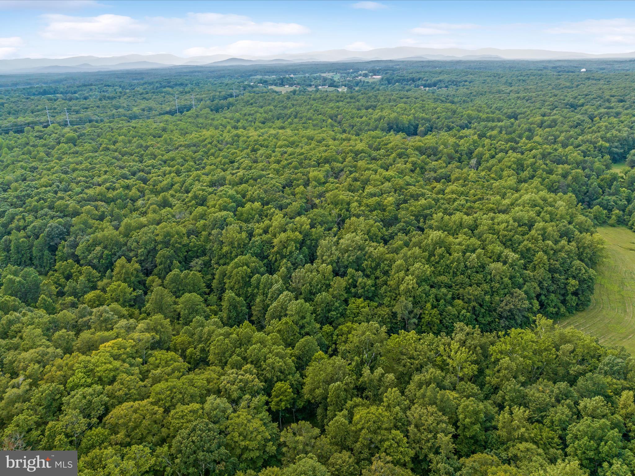 Beaver Dam Rd