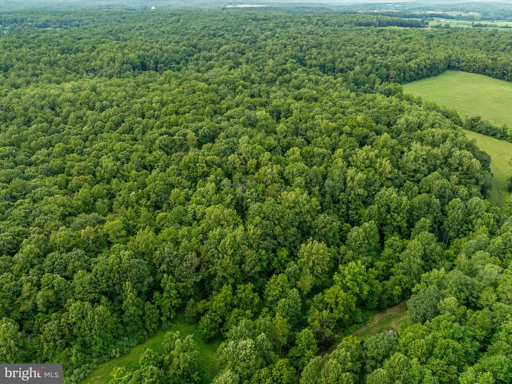 Beaver Dam Rd