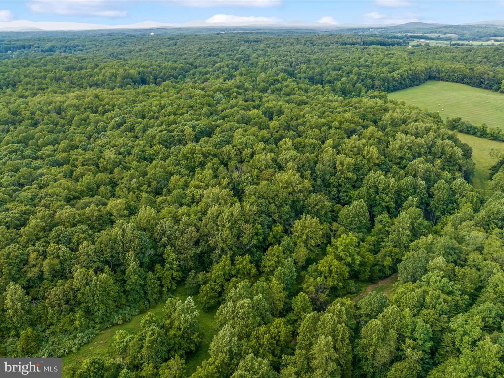 Beaver Dam Rd