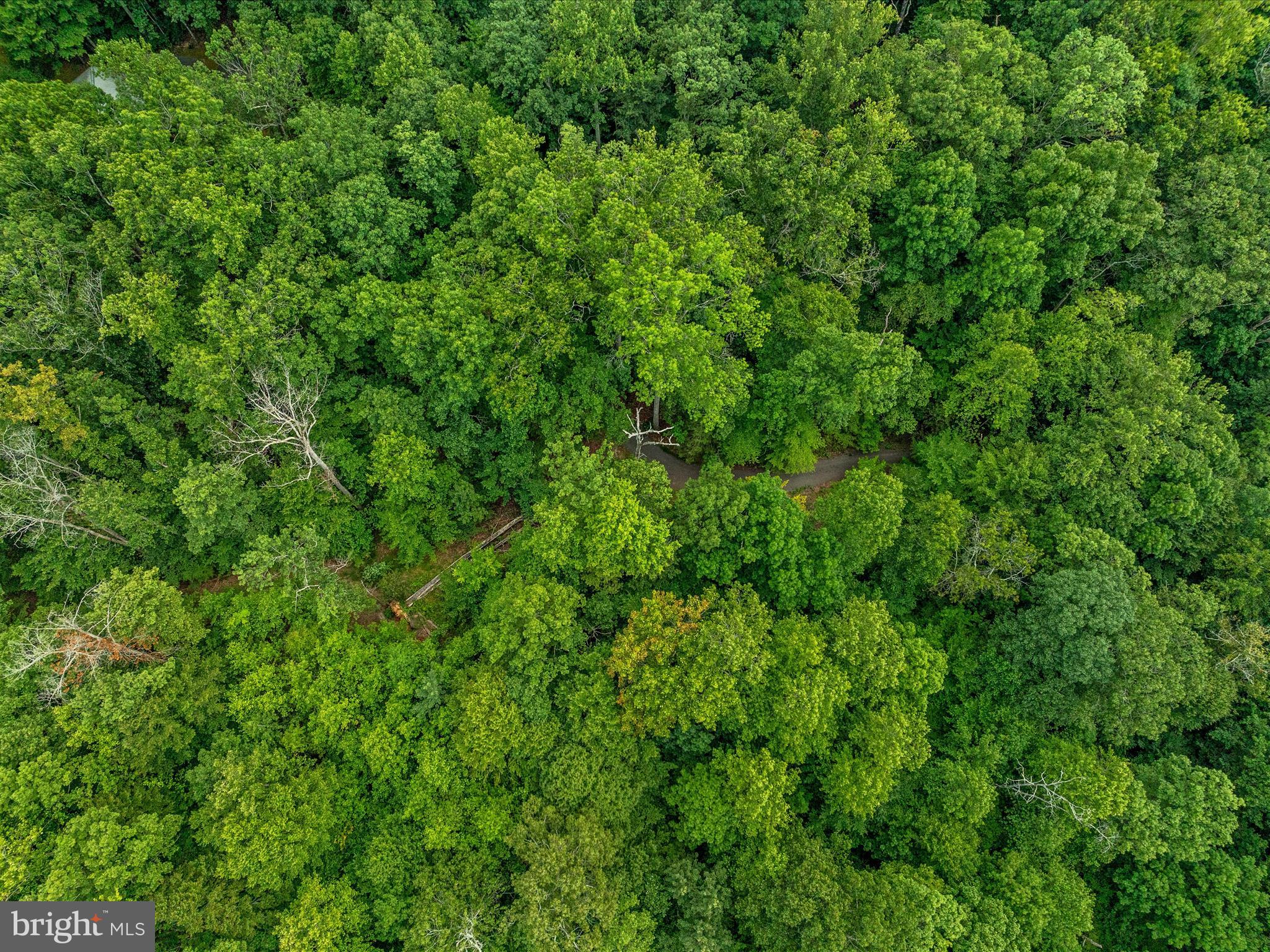 Beaver Dam Rd