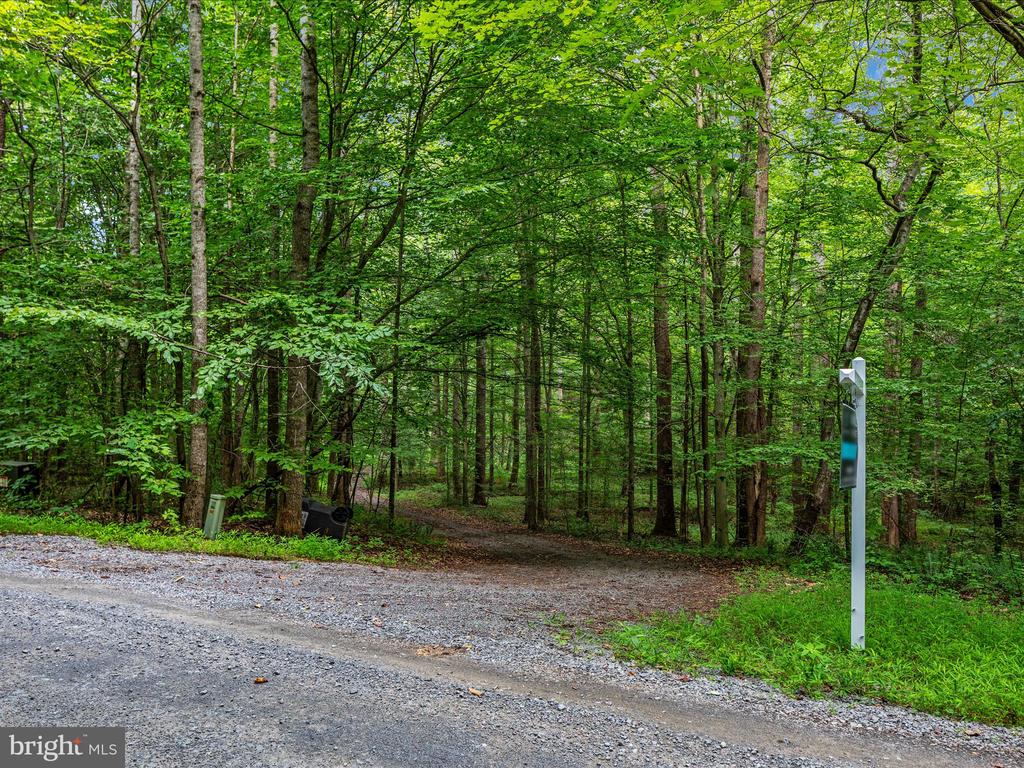 Beaver Dam Rd